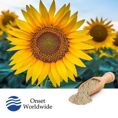 Organic Sunflower Seed Protein Powder (Treated) by Onset Worldwide