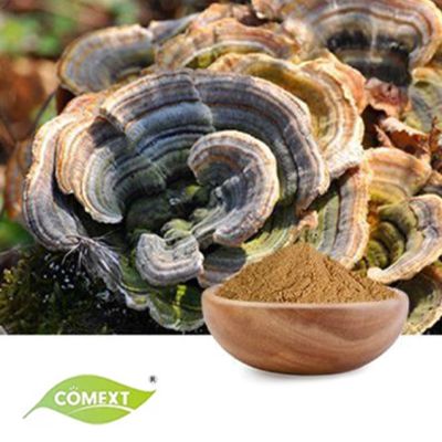 Organic Turkey Tail  Extract 30% Polysaccharide by Comext