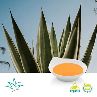 Organic Agave Syrup Premium Light by Naturel West/ The Iidea Company