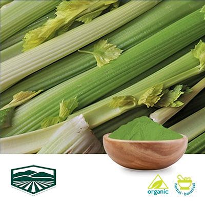 Organic Celery Juice Powder by Spinaca Farms, Inc