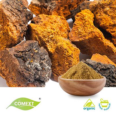 Organic Chaga Mushroom Powder by Comext