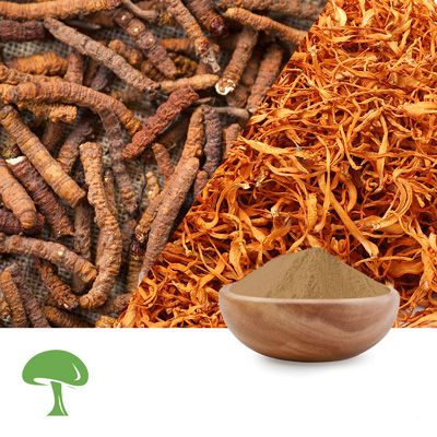 Organic Cordyceps Blend Extract Mushroom Powder 50% Polysaccharide by Aloha Medicinals