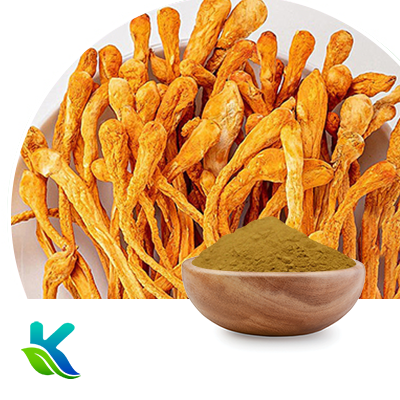Organic Cordyceps Militaris Extract 50% Polysaccharides by Hunan Naturext