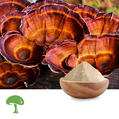 Organic Ganoderma lucidum Mushroom Powder by Aloha Medicinals