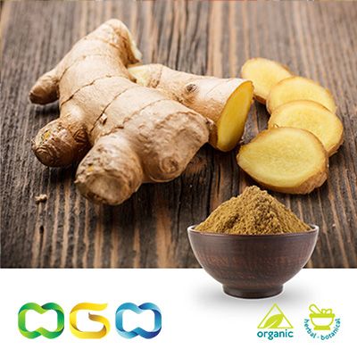 Organic Ginger Extract Powder 1% Gingerol by Herb Green Health