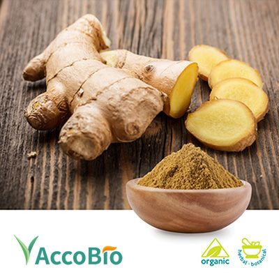 Organic Ginger Root Extract 5% Gingerols by AccoBio