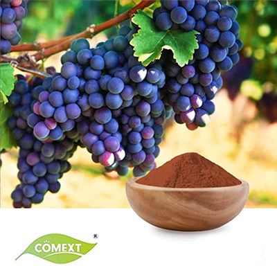 Organic Grape Seed Extract 4:1 by Comext
