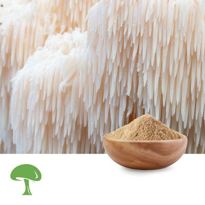 Organic Hericium Erinaceus Mushroom Powder by Aloha Medicinals