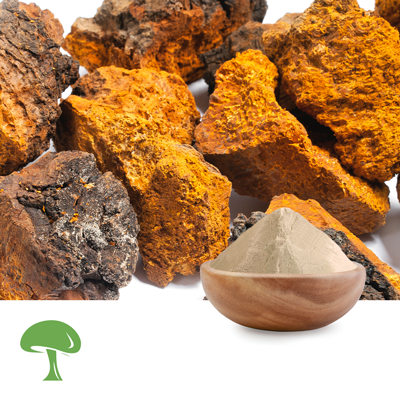 Organic Inonotus Obliquus Mushroom Powder by Aloha Medicinals