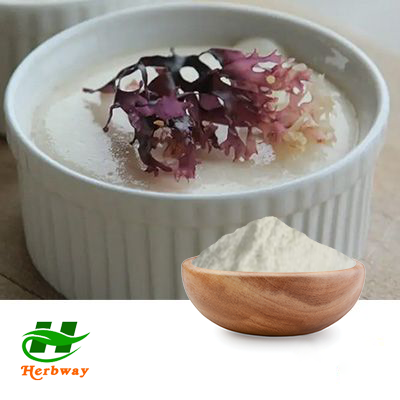Organic Irish Moss Powder by Changsha Herbway