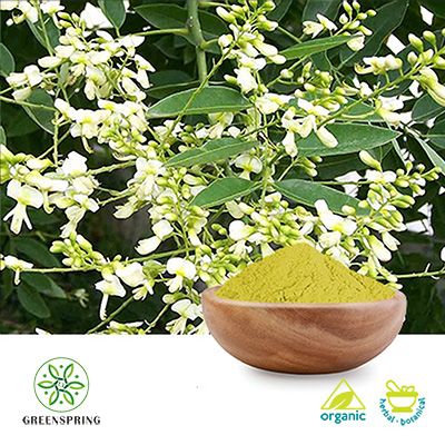 Organic Kaempferol Powder 98% by HPLC by Green Spring