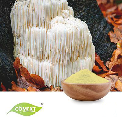 Organic Lion's Mane Mushroom Extract 30% Polysaccharides by Comext
