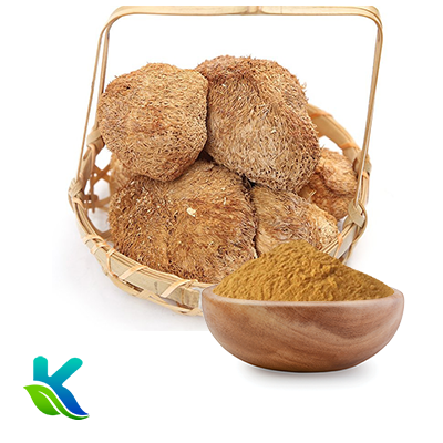 Organic Lion's Mane Mushroom Powder by Hunan Naturext