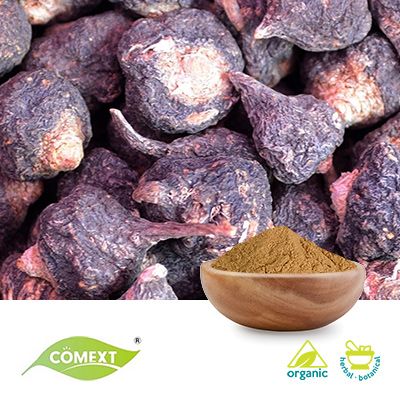 Organic Maca Powder (Red Maca Root) by Comext
