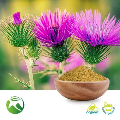 Organic Milk Thistle Powder by Xi'an Herbs Valley