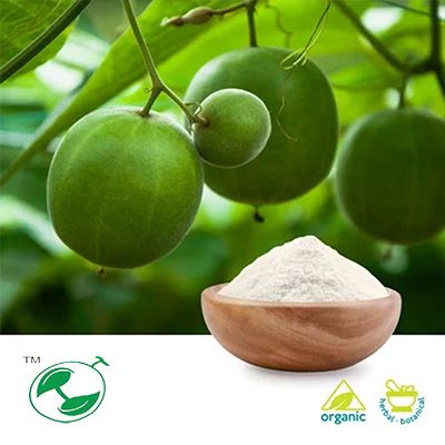 Organic Monk Fruit Extract 50% Mogroside V HPLC by Hunan Huacheng