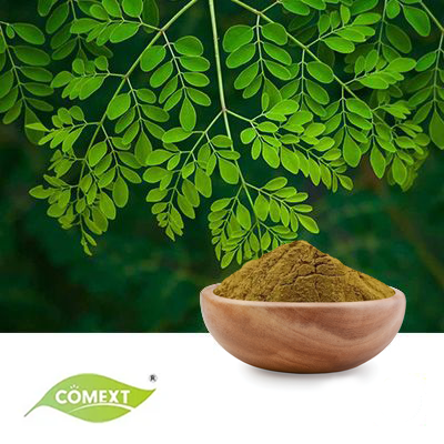 Organic Moringa Leaf Extract 10:1 by Comext