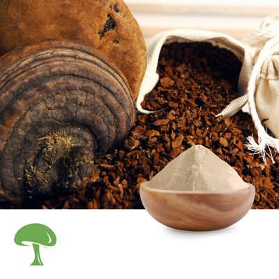 Organic Phellinus Linteus Mushroom Powder by Aloha Medicinals