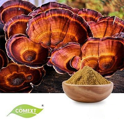 Organic Reishi Mushroom Extract 30% Polysaccharide by Comext