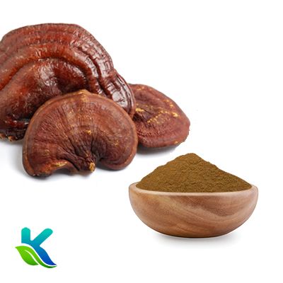 Organic Reishi Mushroom Extract 50% Polysaccharides by Hunan Naturext