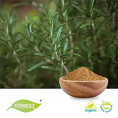 Rosemary Extract 4:1 by Comext