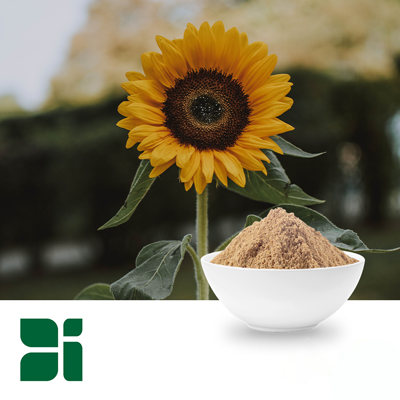 Organic Sunflower Seed Powder by Botanic Innovations