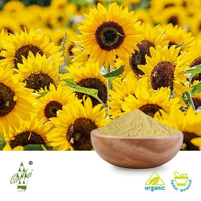 Organic Sunflower Seeds Protein 55% by Qimei