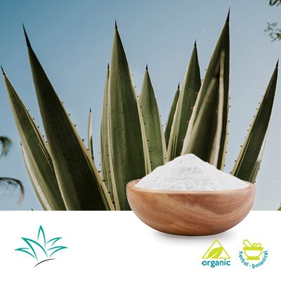 Organic Agave Inulin Powder by Naturel West/ The Iidea Company