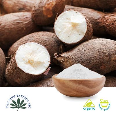 Organic Tapioca Starch by Tay Ninh Tapioca JSC