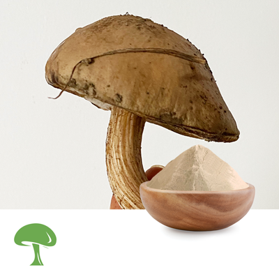Organic Tiger Milk Mushroom Powder by Aloha Medicinals