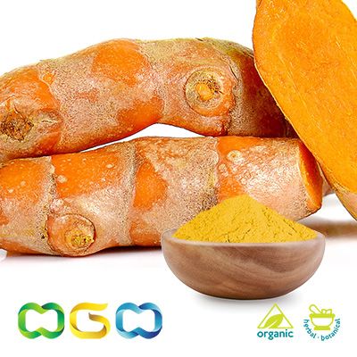 Organic Turmeric Extract Powder 4:1, Curcuminoids 10% by Herb Green Health