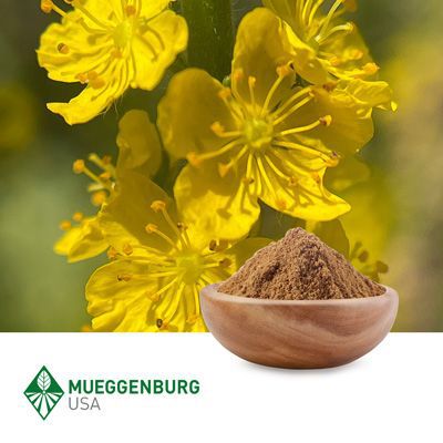 Agrimony	Herb, Powder (Organic) by Mueggenburg USA