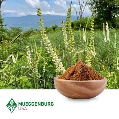 Black Cohosh Root, Powder (Organic) by Mueggenburg USA