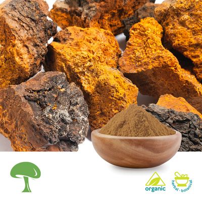 Buy Bulk Chaga Mushroom 50/50 Blend | Ingredients Online