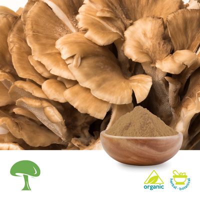 Organic Grifola Frondosa Mushroom Powder by Aloha Medicinals