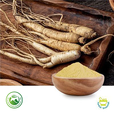 Panax Ginseng Powder by Xi'an Herbs Valley