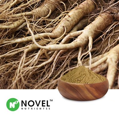 Panax Ginseng Extract 6% Total Ginsenosides by UV by Novel Nutrientss