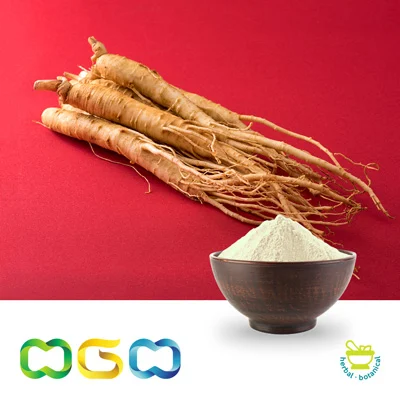 Panax Ginseng Leaf Extract Powder 5% Ginsenosides HPLC, Free Pesticide Residue by Herb Green Health