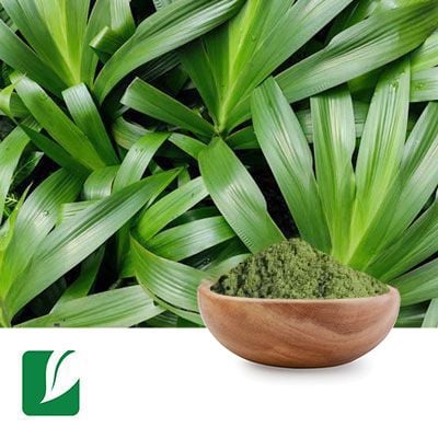 Pandan Leaf Powder by Xi'an Longze