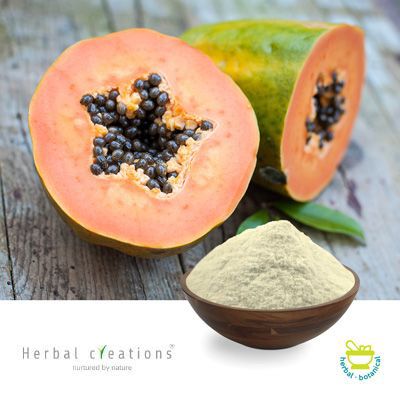 PAPAIN 2000 PU/MG by Herbal Creations