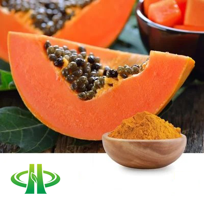 Papaya Powder by Shandong Zhongmin