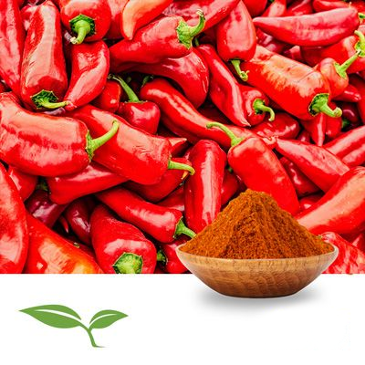 Paprika Powder, Smoked (Organic) by American Botanicals