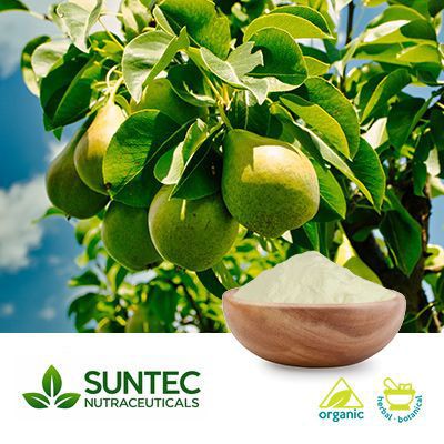 Pear Fruit Powder by Suntec Nutraceuticals