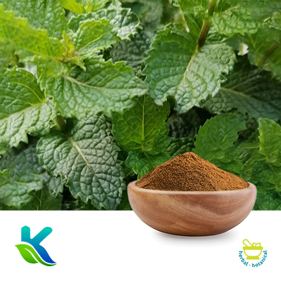 Peppermint Extract 10:1 by Hunan Naturext