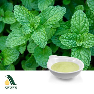 Peppermint Oil by Arora Aromatics