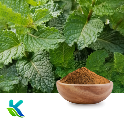 Peppermint Extract 10:1 by Hunan Naturext