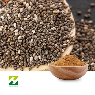 Perilla Seed Extract 10:1 by Organic Herb Inc