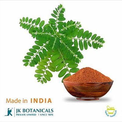Phyllanthus Amarus Powder Steam Treated by JK Botanicals