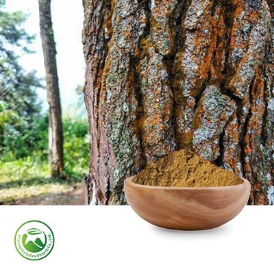 Pine Bark Extract 10:1, Procyanidine (Proanthocyanidins)≥20% by Xi'an Herbs Valley