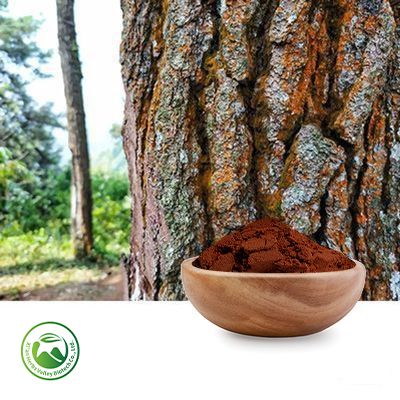 Pine Bark Extract Procyanidine (Proanthocyanidins)≥95% by Xi'an Herbs Valley